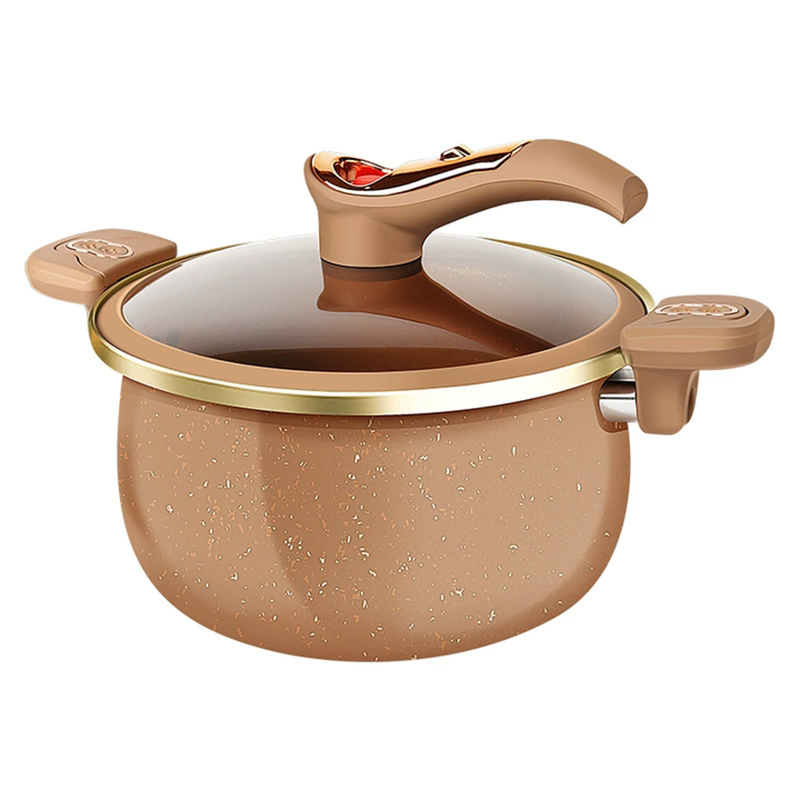 Multifunction Terracotta Colored Micro Pressure Pot